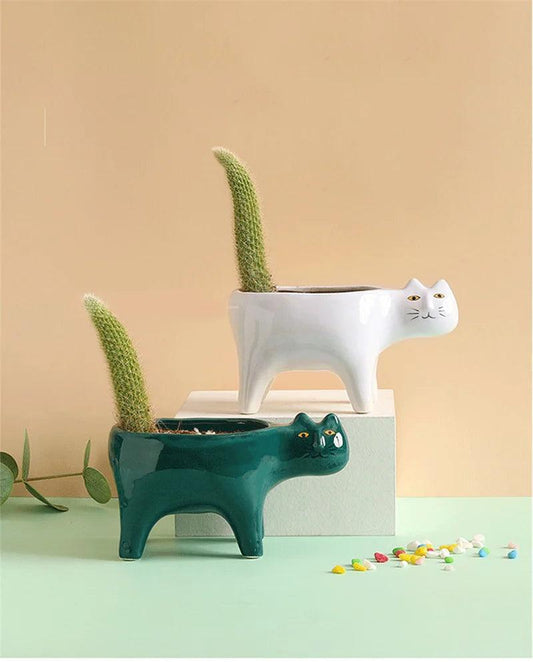 Meow Blooms Pot 