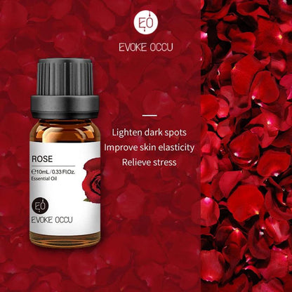 Pure Nature Aroma Essential Oils (10 ml) - cocobear