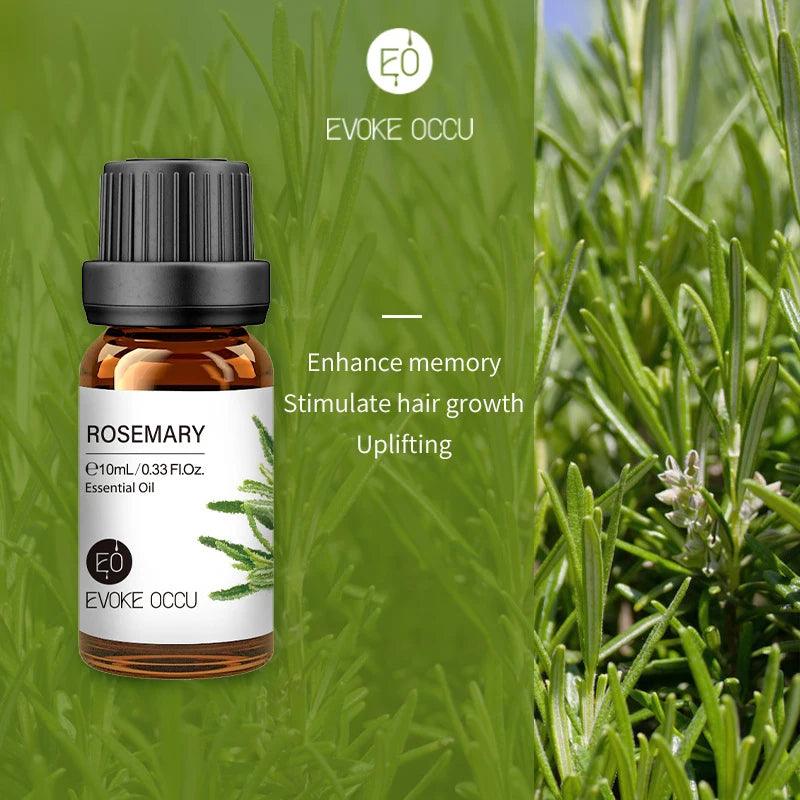 Pure Nature Aroma Essential Oils (10 ml) - cocobear