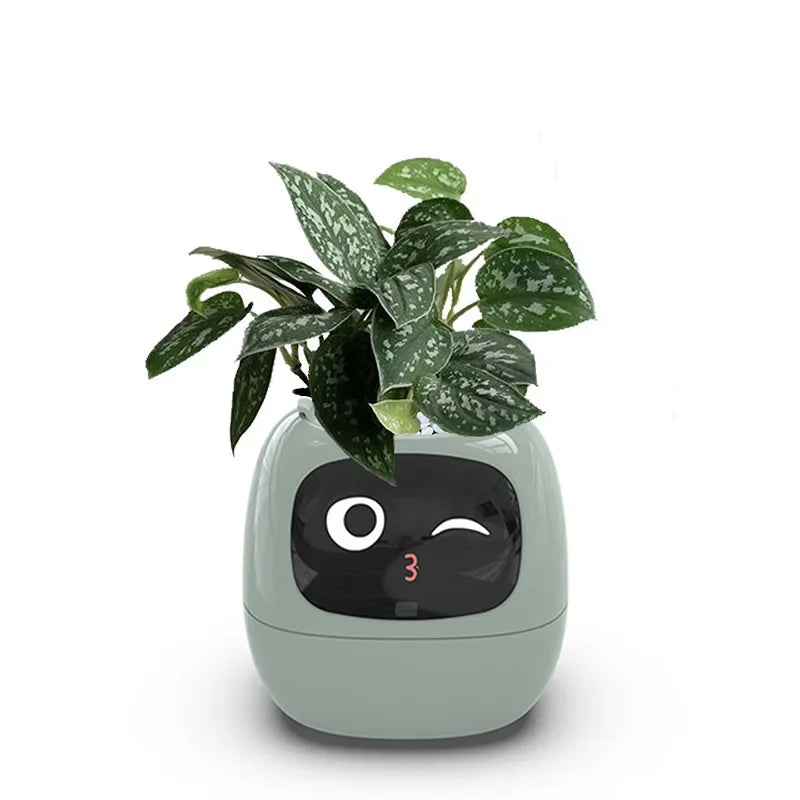 Smart Flowerpots