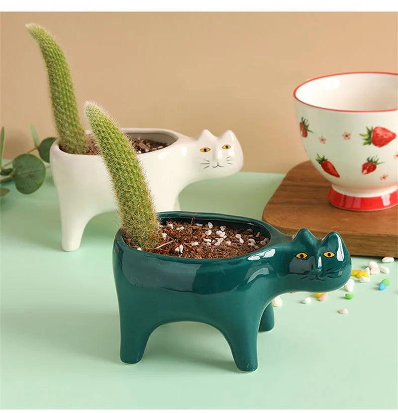 Meow Blooms Pot - cocobear