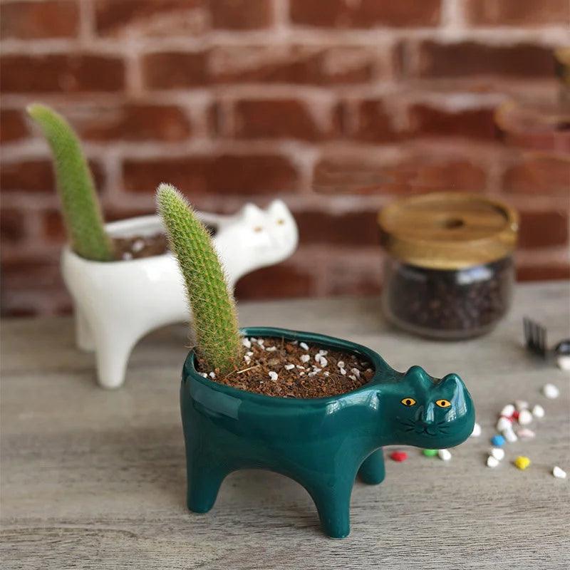 Meow Blooms Pot - cocobear