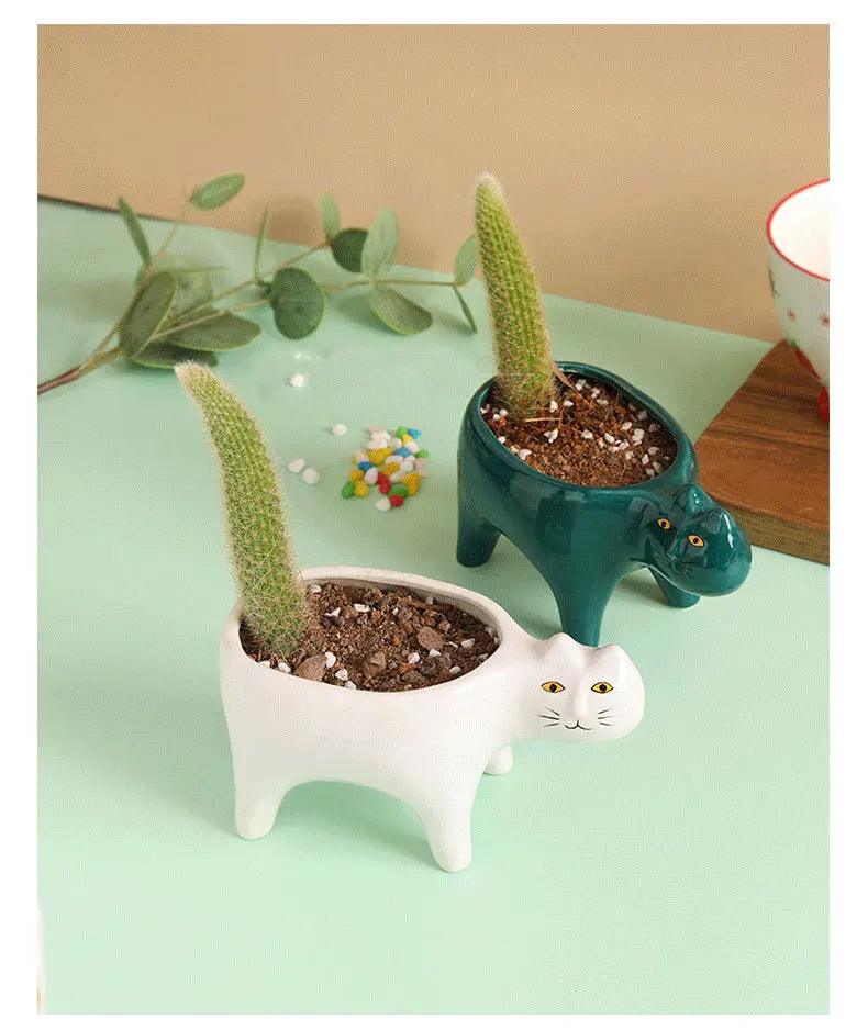 Meow Blooms Pot - cocobear