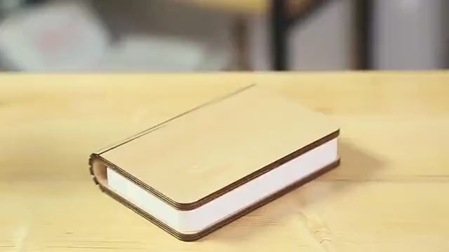LuxLume Foldable Book Lamp - cocobear