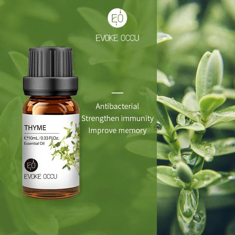 Pure Nature Aroma Essential Oils (10 ml) - cocobear