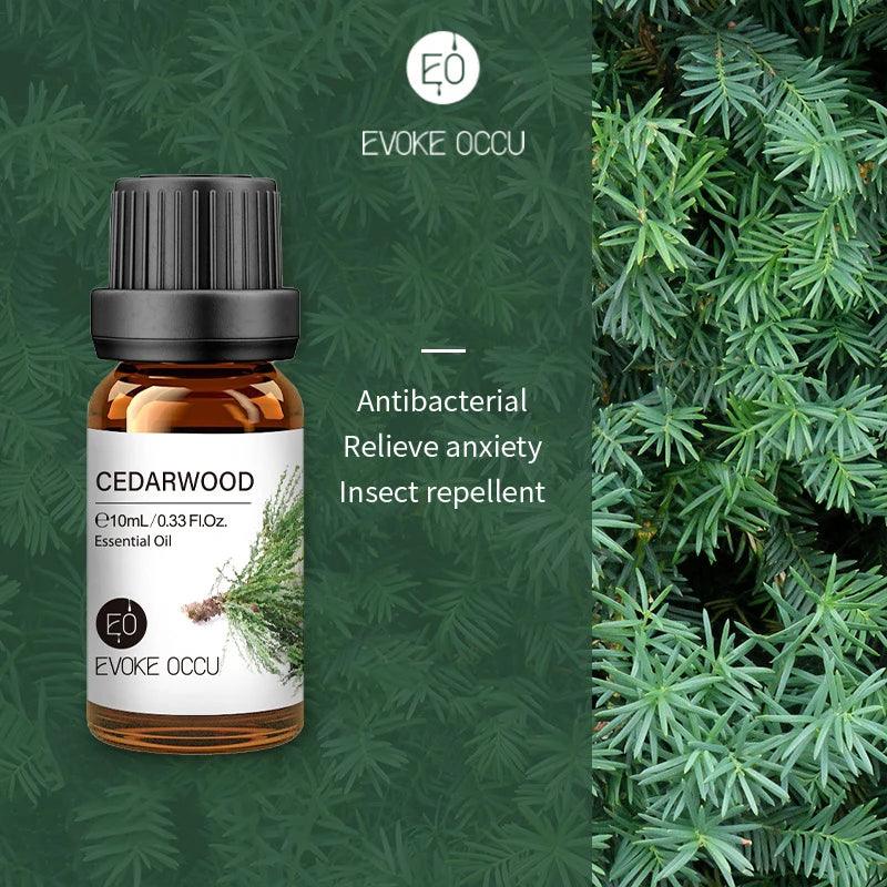 Pure Nature Aroma Essential Oils (10 ml) - cocobear