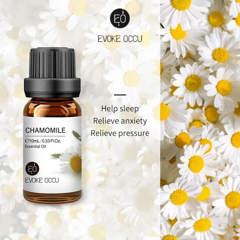 Pure Nature Aroma Essential Oils (10 ml) - cocobear