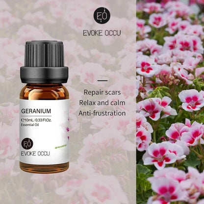 Pure Nature Aroma Essential Oils (10 ml) - cocobear