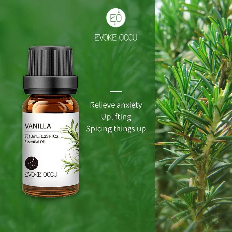 Pure Nature Aroma Essential Oils (10 ml) - cocobear