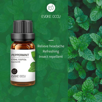 Pure Nature Aroma Essential Oils (10 ml) - cocobear