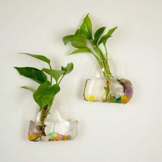 Wall-Mounted Glass Terrarium Planter - cocobear
