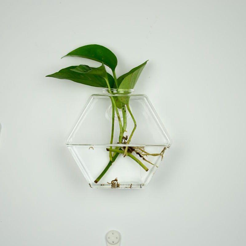 Wall-Mounted Glass Terrarium Planter - cocobear